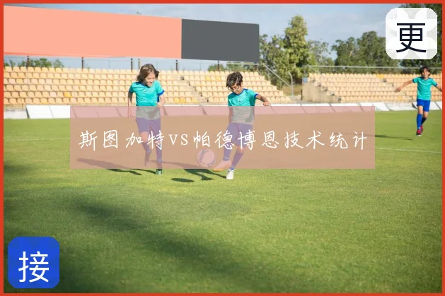 斯图加特vs帕德博恩技术统计