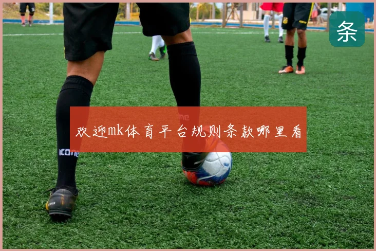 欢迎mk体育平台规则条款哪里看